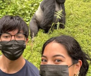 Cheap Gorilla Trekking in Buhoma